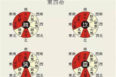 東四命 西四命 算法|善韵缘｜何为东四命、西四命？怎么算？看这一篇就够 